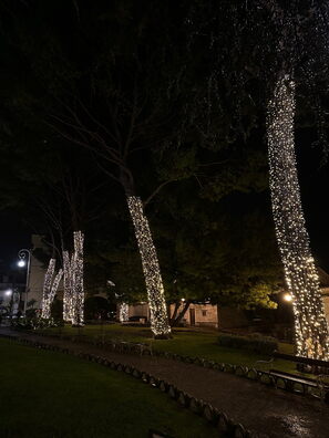 Advent u Opatiji