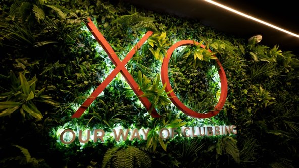 XO_1.jpg