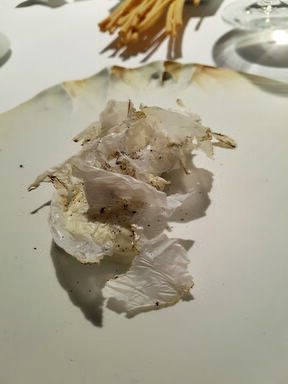 vrhunski-dozivljaj-pobjednici-natjecaja-mastercard-sladokusac-vratili-su-se-iz-modene-i-podijelili-s-nama-dojmove-s-vecere-u-restoranu-osteria-francescana-chefa-massima-botture