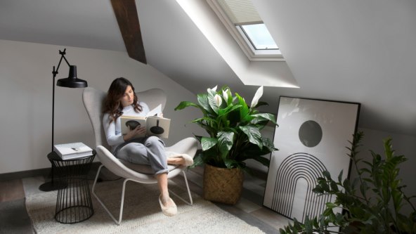 velux.jpg