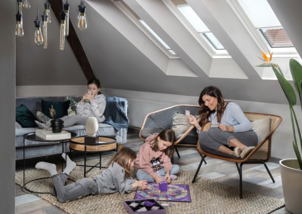 velux (2).jpg