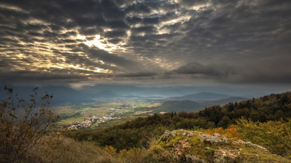 mrsinj (1).jpg