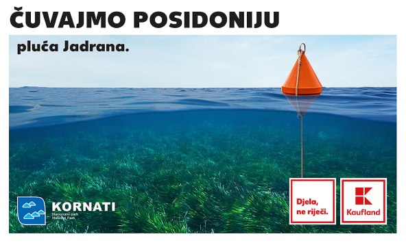 Kaufland_Posidonija_KV.jpg