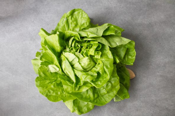 zelena salata