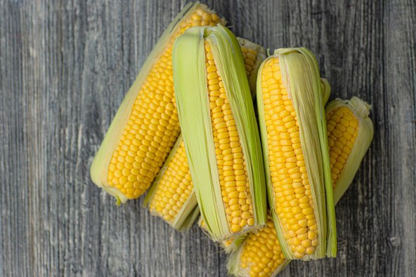 corn-g06a998a37_1920.jpg