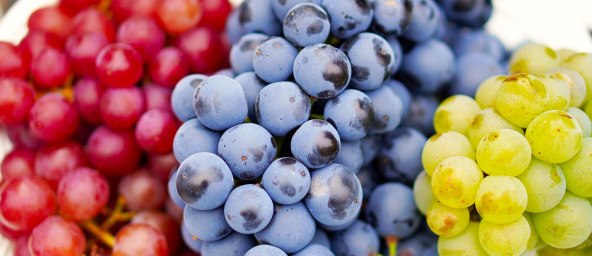 grapes-g88bdfab8f_1920.jpg