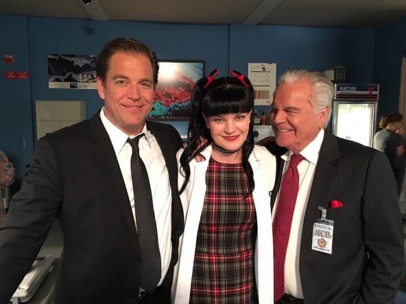Pauley Perrette