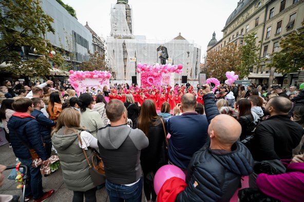 Story Pink Fest.jpg