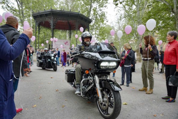 Story Pink Fest