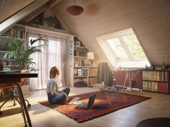 VELUX ACDC campaign photos (1).jpg