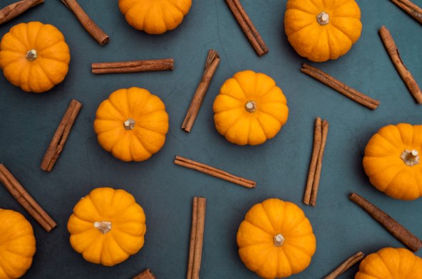 pumpkin spice