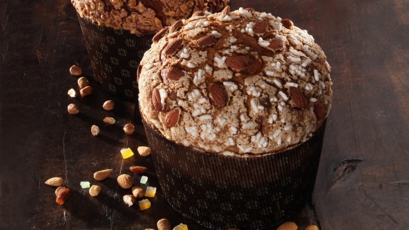 AT & Dubravica Panettone
