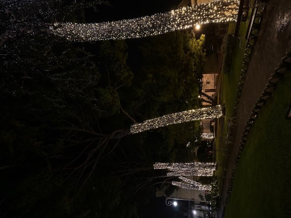 Advent u Opatiji