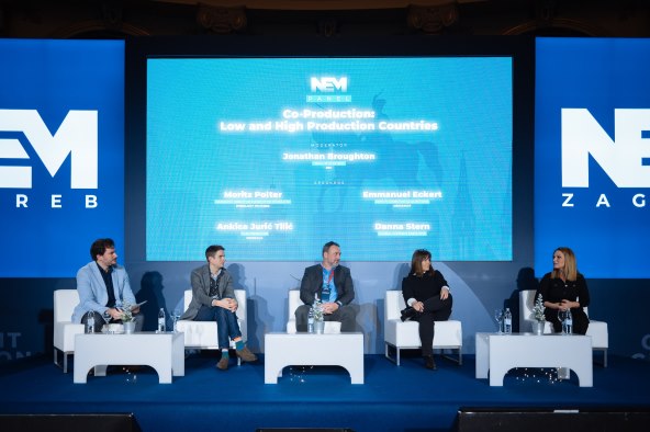 2. Panel Co-production - Low and High Production Countries.jpg