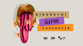 diskretni sarm.jpg