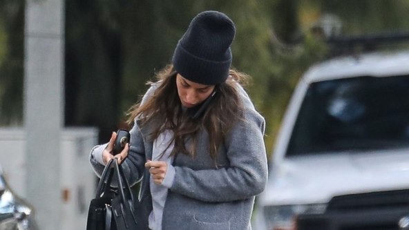 Ines de Ramon je djevojka Brada Pitta