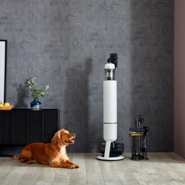 12_Jet_Pet_Lifestyle_Image.jpg