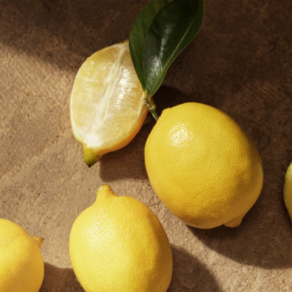 DG_FF_LEMON_DEVOTION_EDP_MALE_100ML_8054754401059_JPG_1_1_300_DPI.jpg