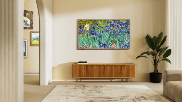 Hisense Canvas TV