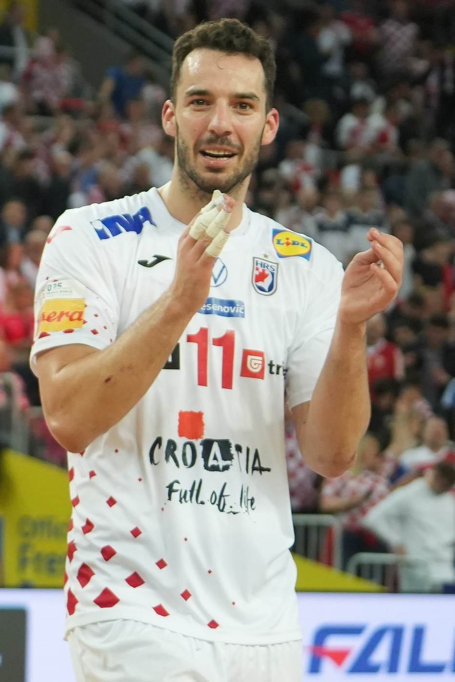 Zvonimir Srna