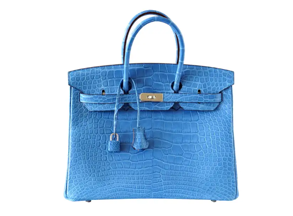 Hermes Birkin 2.PNG
