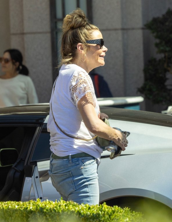 Denise Richards na večeri u ležernom izdanju