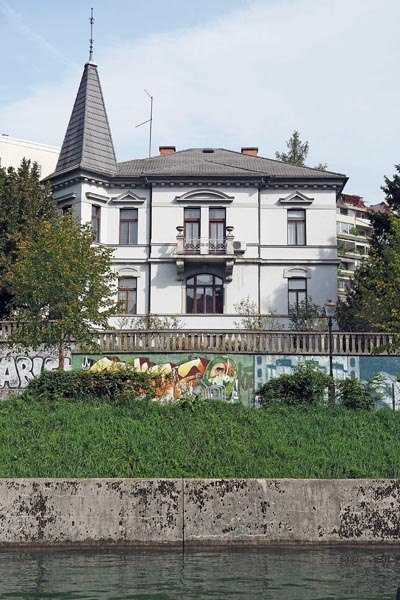 Center Rog (1).jpg