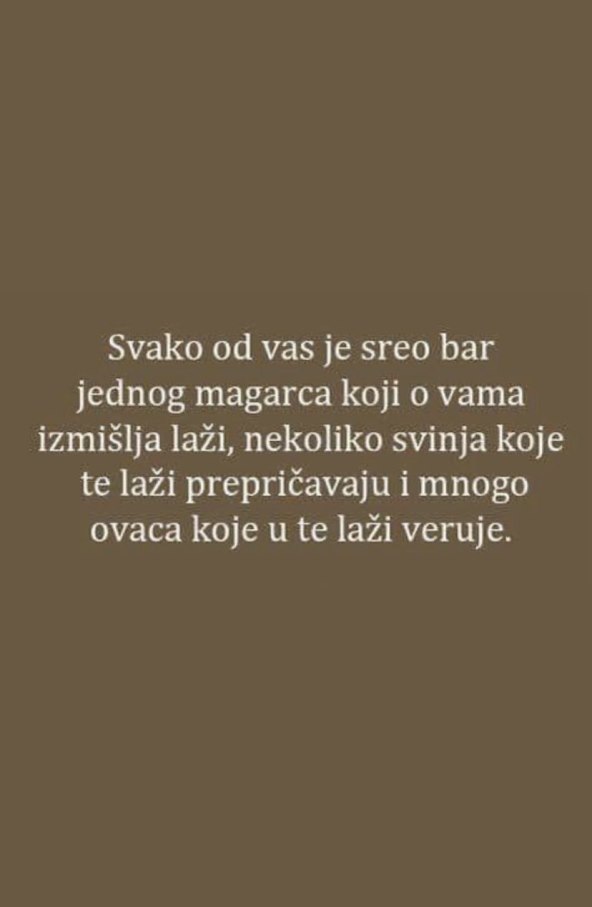 Danijela Dvornik objavila je zaniljiv Story.