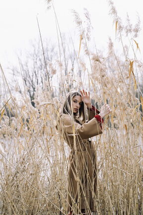 Elfs-Winter-(2).jpg
