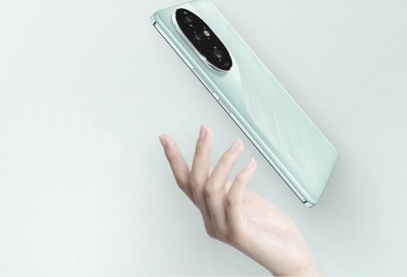 Honor1.jpg