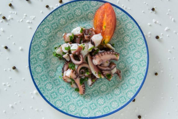 salata od hobotnice