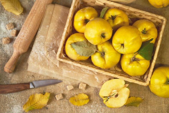 Recept za kolač s dunjama i orasima