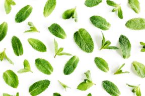 menta