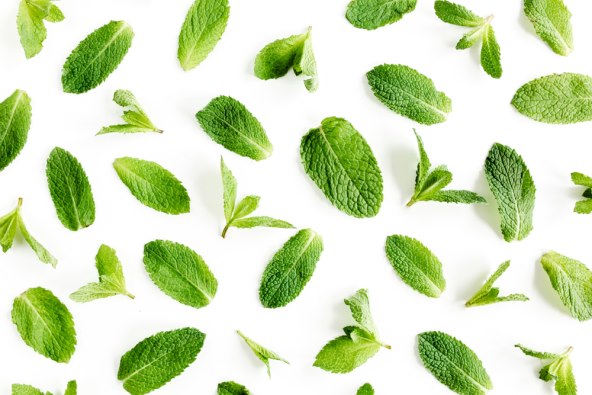 menta