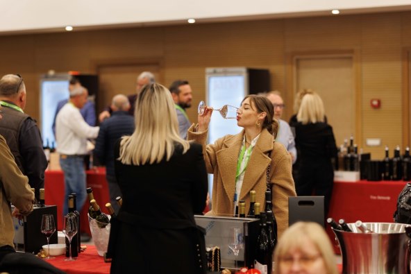 foto arhiva Udruženje Vino Dalmacije 1jpg.jpg