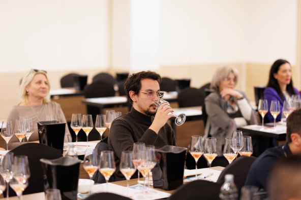 foto arhiva Udruženje Vino Dalmacije 6.jpg