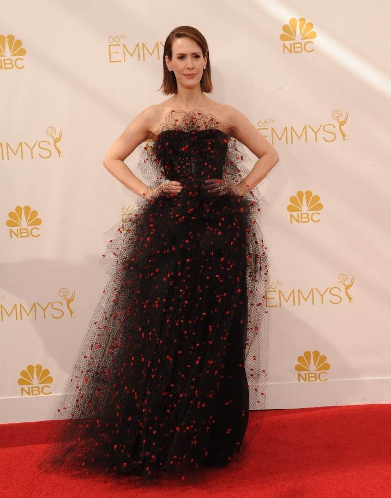 Sarah Paulson i Holland Taylor ne žive zajedno
