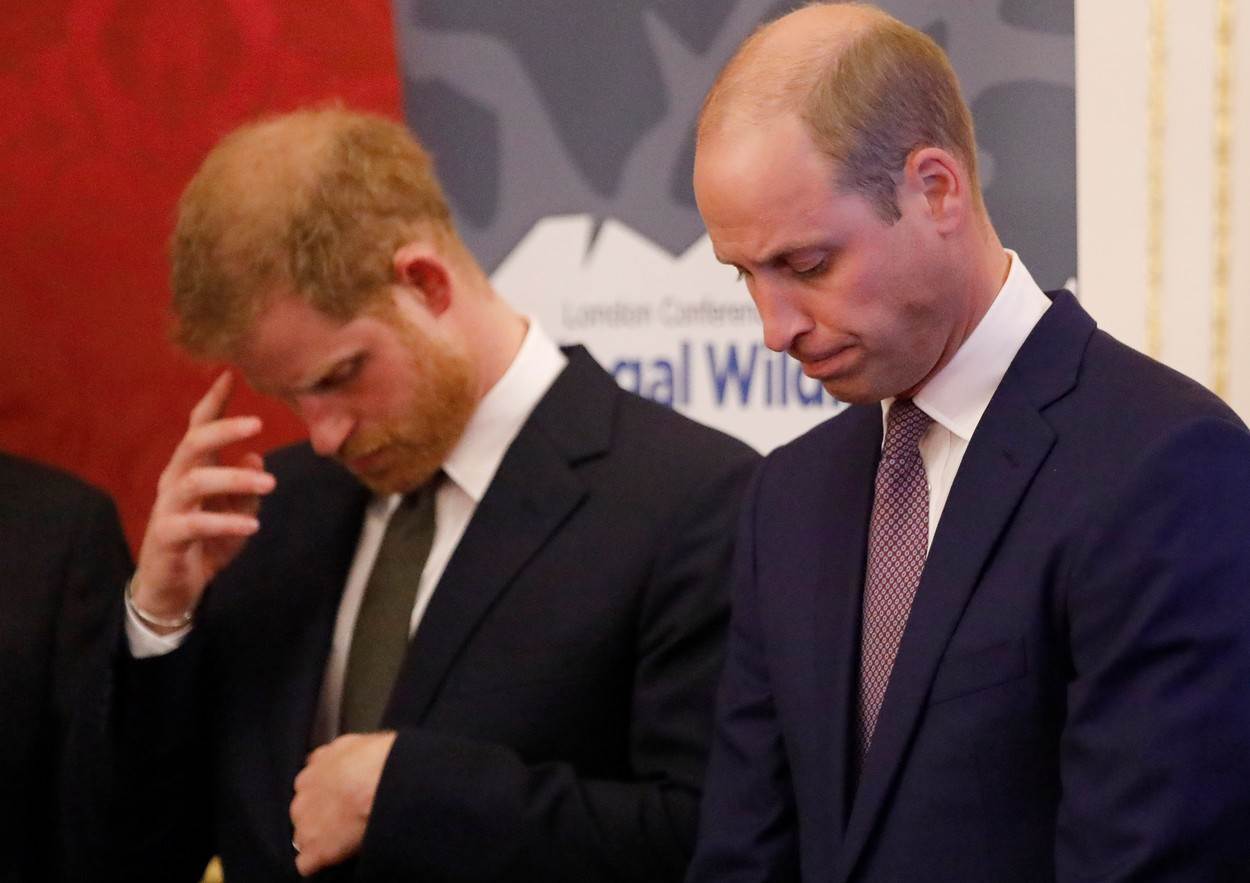 Princ William i princ Harry nisu u dobrim odnosima