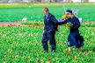 Kralj Willem-Alexander i kraljica Maxima