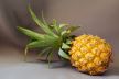 pineapple-g638902313_1920.jpg