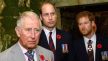 Princ Charles s prinčevima Harryjem i Williamom
