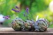 artichokes-g926b25bbd_1920.jpg