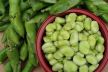 broad-beans-ga4427ad79_1920.jpg