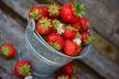 strawberries-g1fe9ab95e_1920.jpg