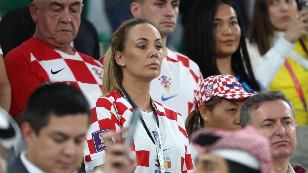 Vanja Modrić na utakmici Hrvatska-Brazil