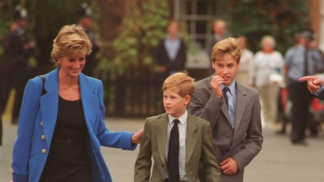 Princeza Diana sa sinovima