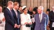 Kralj Charles, Meghan Markle, princ Harry i princ William