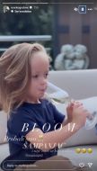 bloom3.jpg
