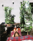 Ana Maras Harmander