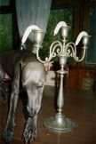 BelgradeRaw_Sarajevo_press-6.jpg